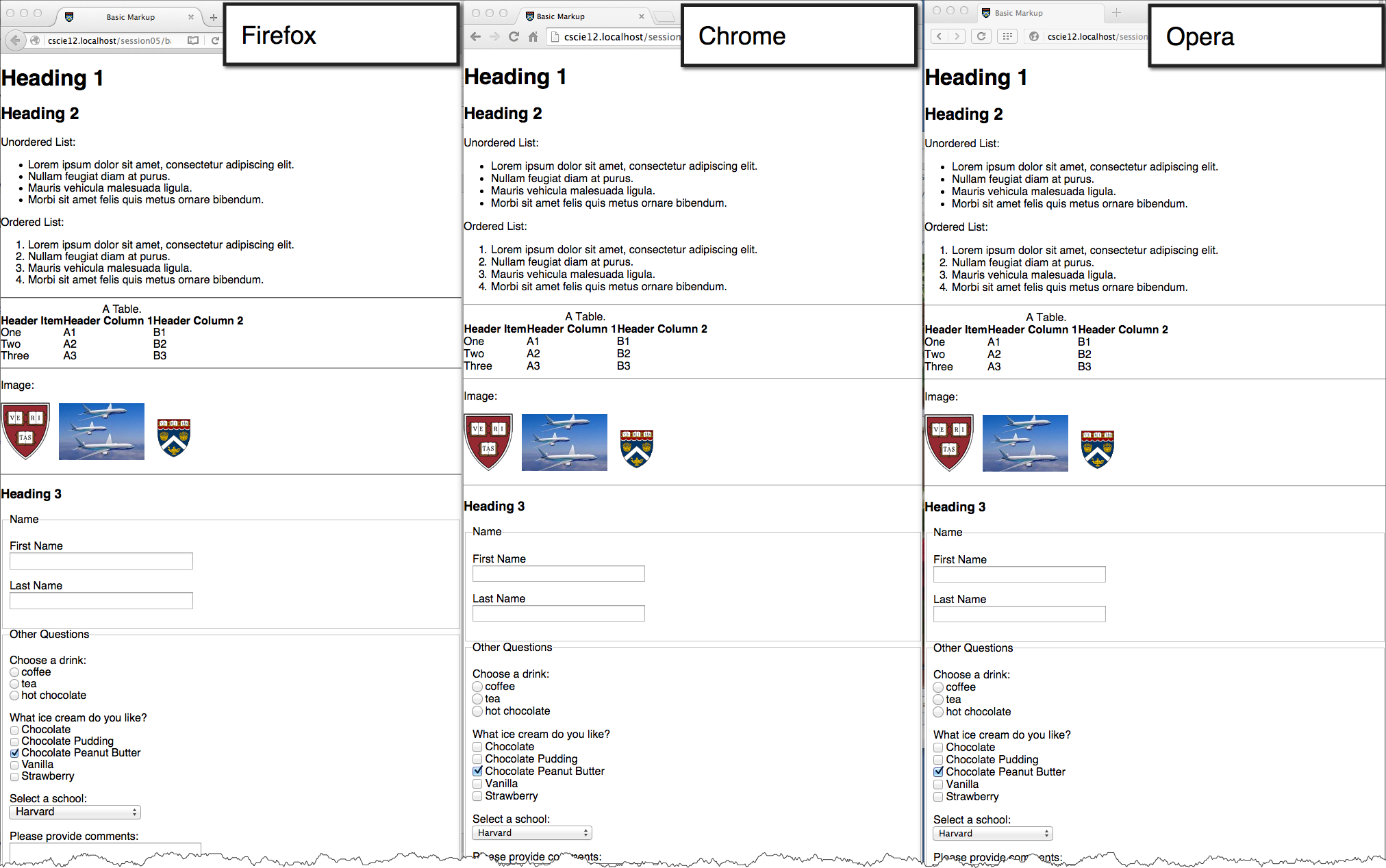 normalize css in use