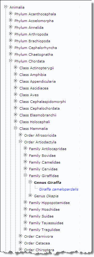 taxonomy