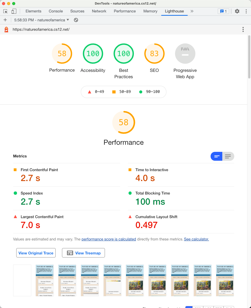 lighthouse test results