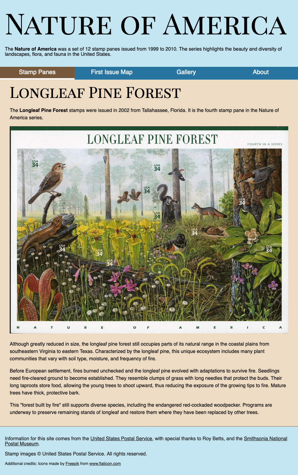 long leaf pine forest
